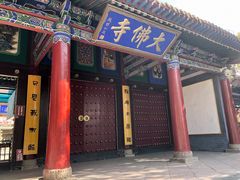 -张掖大佛寺景区