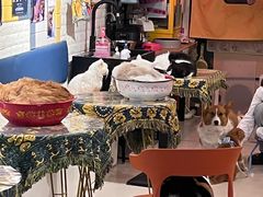 -平行世界·猫咖(首经贸店)