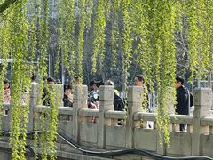 -元大都城垣遗址公园