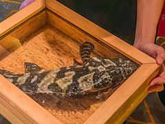 -ONE FULL 古董港式海鲜火锅