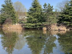 -白马涧龙池景区