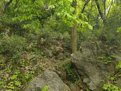 -杭州灵山景区