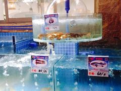 水产区-香香海南菜餐厅