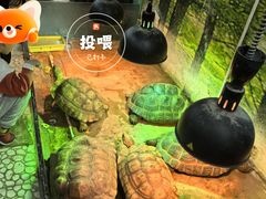 -上海大自然野生昆虫馆(东方明珠·爬宠昆虫探索中心)