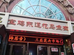 -宝鸡东道花鸟鱼虫市场(吉利花园商场店)
