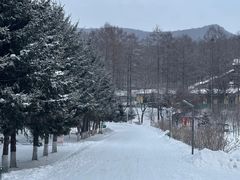 -横道河子东北虎林园
