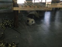 -无锡动物园·太湖欢乐园
