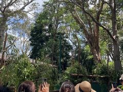 -可伦宾野生动物保护区