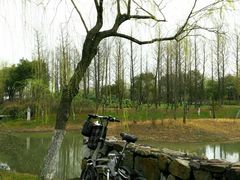 -尚贤河湿地