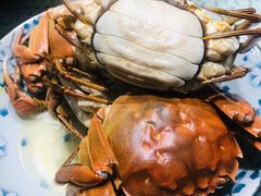-蟹天蟹地农家菜·阳澄湖大闸蟹(浅水湾店)