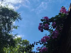 -苏小糖(鼓浪屿三丘田花园店)
