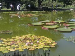 -国家植物园南园