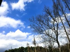 -都江堰玫瑰花溪谷