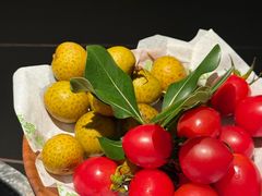 -季季山·云南野生菌火锅(上海首店)