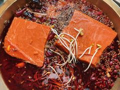 -小天鹅火锅·一线江景洪鼎旗舰店(洪崖洞店)
