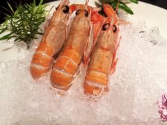 -大渔之观(安贞店)