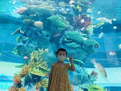 -福州罗源湾海洋世界旅游区