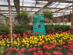 -南宫五洲植物乐园