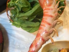 -鲜入围煮花胶鸡海鲜火锅