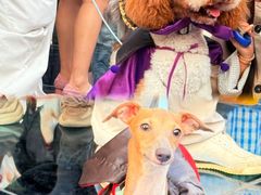 -华谊兄弟（长沙）电影小镇