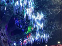 -弘阳·未来世界(弘阳广场店)