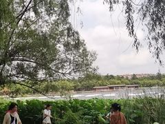 -蜀王砂锅总店