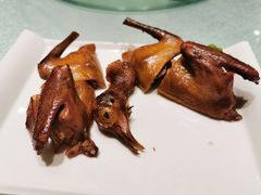 燕郊熏鸽子-燕郊烧鸽子(广安路店)
