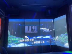 -纯K(打浦桥店)