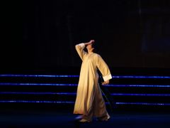 -南京奥林匹克体育中心-体育馆