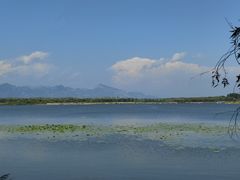 -野鸭湖国家湿地公园