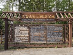 -峡谷浮石林景区