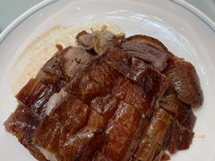 -椿记烧鹅(叠彩店)