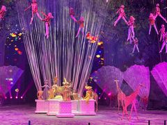 -广州长隆国际大马戏