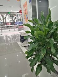 -悟空祛痘·专业祛痘机构