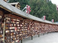 -龙口南山旅游景区