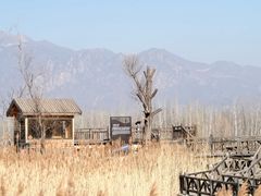 -野鸭湖国家湿地公园