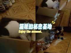 -深圳野生动物园