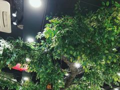 -尚府一品·烤鸭·新京菜(圆明园店)
