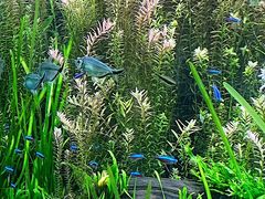 -上海海洋水族馆