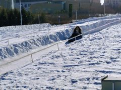 -长春世界雕塑园冰雪艺术天地