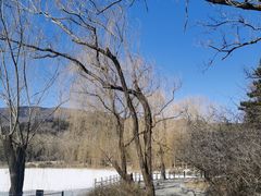 -国家植物园南园