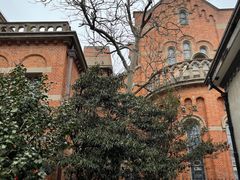 -上海佘山国家森林公园西佘山园