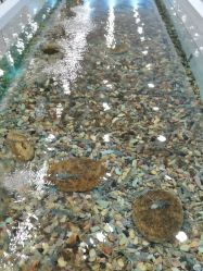 -钓虾工场·钓虾·赶海(回龙观店)