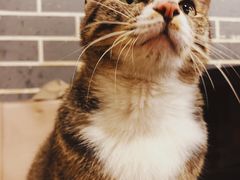 -酒友老火锅(渝中店)