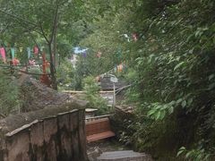 -南窖乡水峪村山情农家