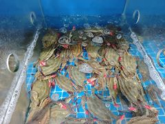 -宾朋海鲜饭庄(兴海路店)