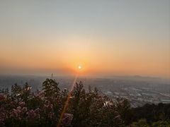 -杭州半山国家森林公园