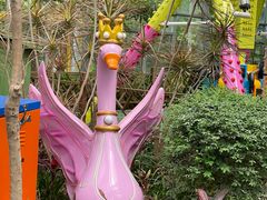 -南宫五洲植物乐园