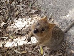-费瑟代尔野生动物园
