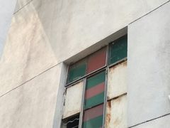 -珠江琶醍